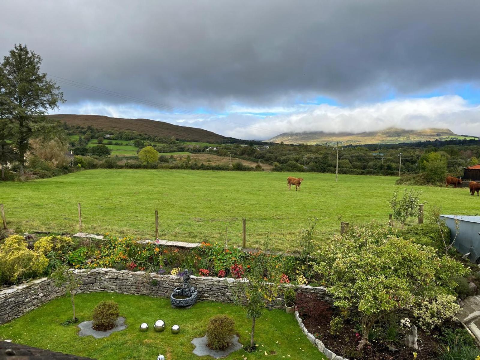 Laburnum B&B Kenmare Exterior photo